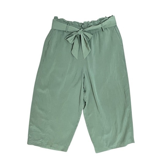 J.Crew Point Sur Olive Green Wide Leg Crop Pants Minimalist Belt Pockets Size 10 - Picture 8 of 10